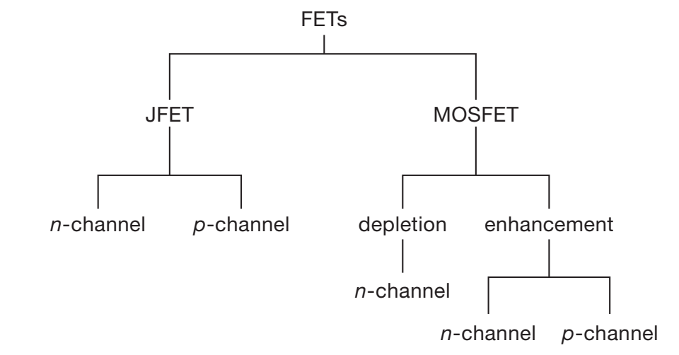 Family tree
